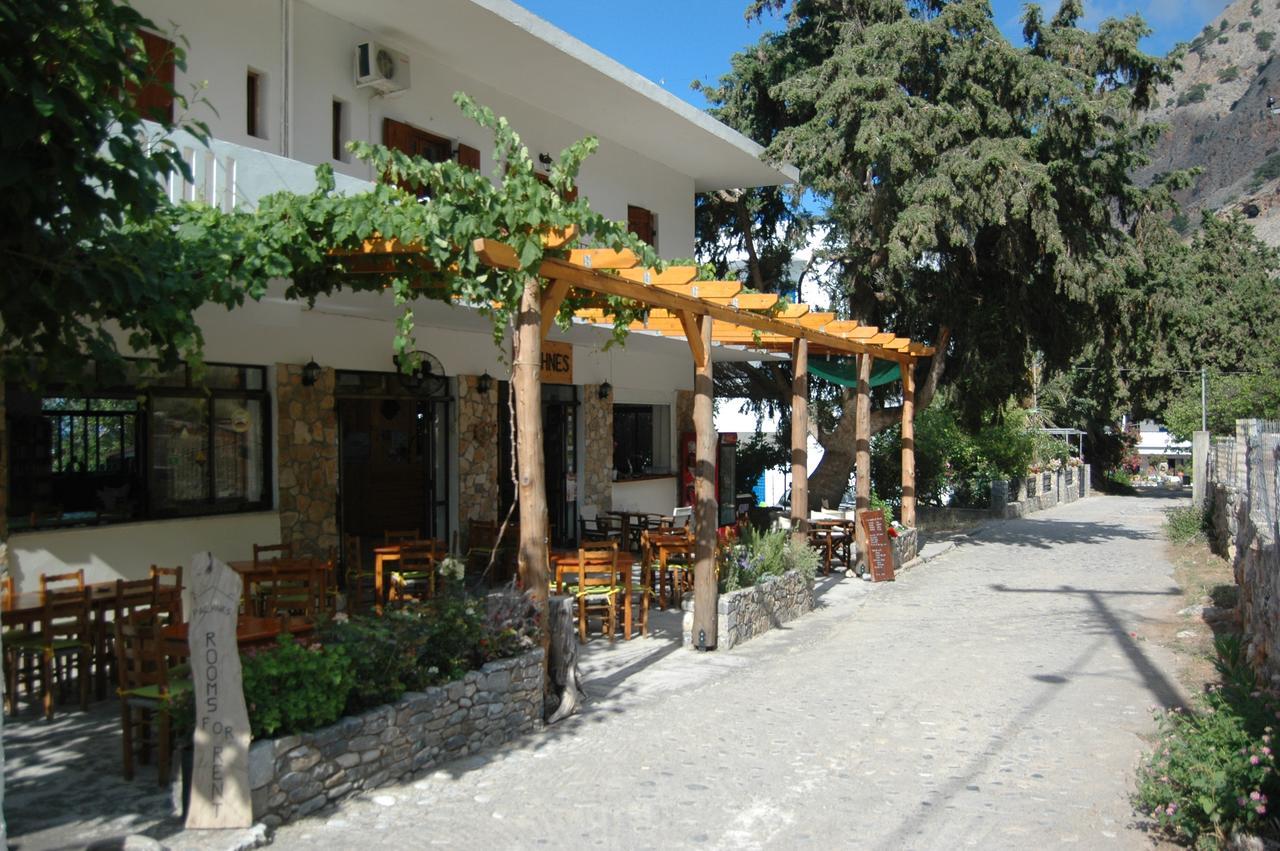 أجيا روميلي Pachnes Bed And Breakfast المظهر الخارجي الصورة