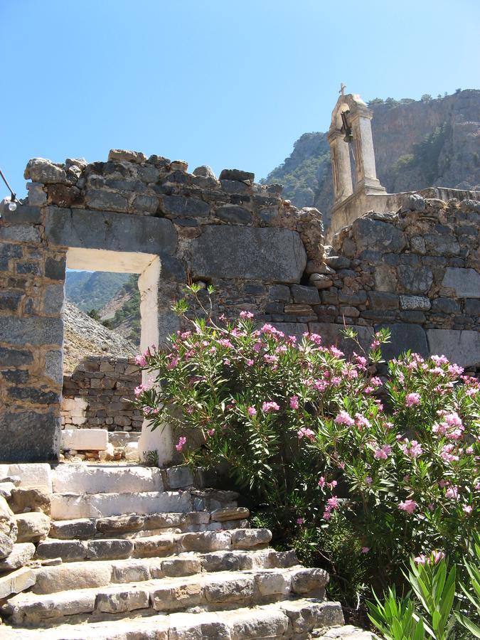 أجيا روميلي Pachnes Bed And Breakfast المظهر الخارجي الصورة